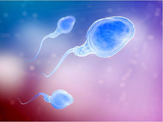 featured-image