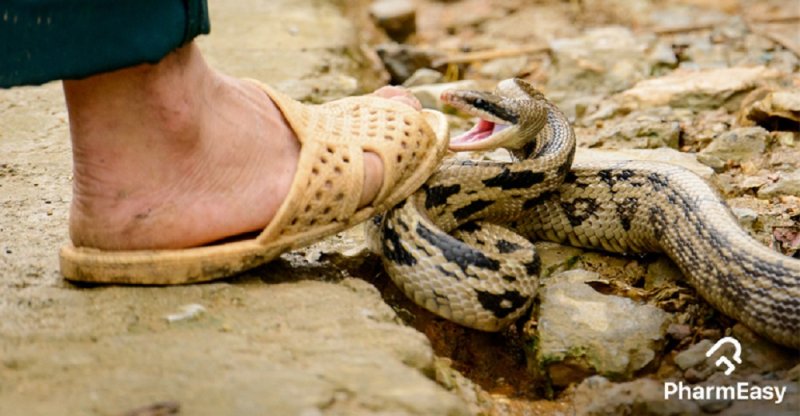 featured-image
