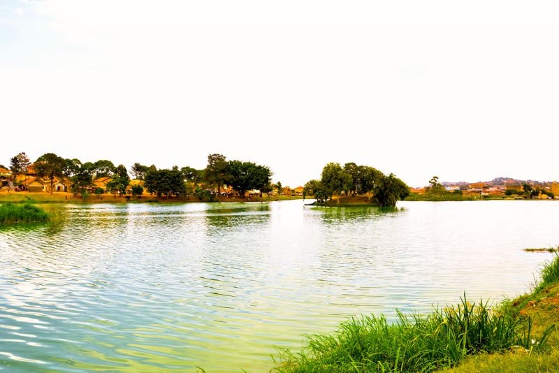 featured-image