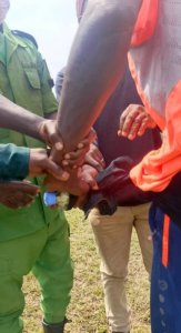 Ruhago y'Abagore: Umutoza wa APR WFC yaketsweho amarozi