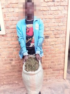 Burera:Uwafatanywe urumogi arukuye Uganda yabwiye Polisi ko yari mukazi