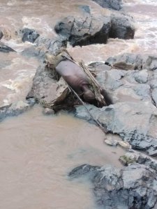 Karongi: Umurambo wa Halindintwali Zabuloni bawusanze mu Mugezi wa Musogoro