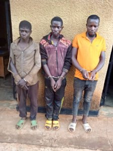 Rwamagana: Abashinzwe umutekano bafashe abantu batatu bacuruza inyama z'imbwa