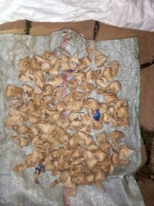 Gasabo: Abagabo babiri bafatanywe udupfunyika tw'urumogi 93