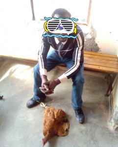 Gasabo: Yafunzwe ashinjwa gusambanya inkoko y'uwari umucumbikiye