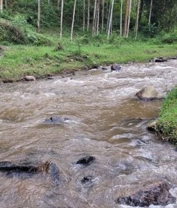 Nyamasheke: Yahitanywe n'umugezi avuye kuvumba inzoga