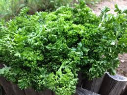 Menya akamaro gakomeye Perisile ifite ku mubiri n'abatemerewe kuyirya