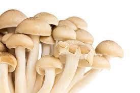 Menya akamaro ko kurya ibihumyo ku buzima bwa muntu harimo gukomeza amagufa