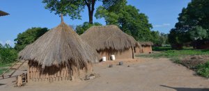 Umugabo yahitanwe n'umuti yahawe ngo umufashe gucika ku nzoga