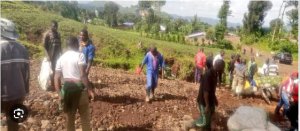 Rubavu:Abuzukuru ba Shitani birukanwe mu mugi buburiye umutwe mu mirenge y'icyaro