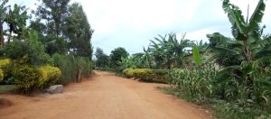 Rwamagana: Yatemye umuturanyi we nyuma yo gukeka ko amusambanyiriza umugore