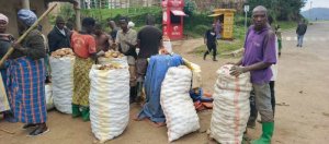 Nyabihu: Gishwati amaterasi y'indinganire yazamuye umusaruro w'abahinzi