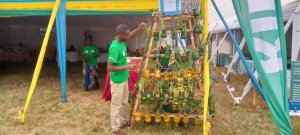 Kayonza: Urubyiruko rwakoze akarima k'igikoni kimukanwa kitezweho kwihaza ku mboga