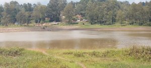 Mu cyuzi habonetsemo umurambo w'umukobwa