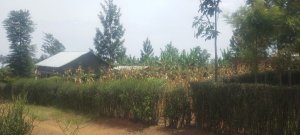 Abaturiye umupaka wa Shonga babangamiwe no kudahabwa ibyangombwa by'ubutaka