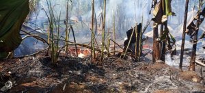 Nyamasheke: Inzu n'igikoni byahiye bikongokana n'imyaka yo mu murima