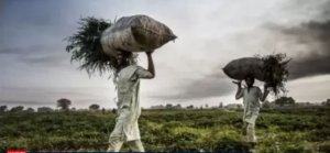 Nigeria:Inzara yatumye igihugu kinjira mu bihe bidasanzwe