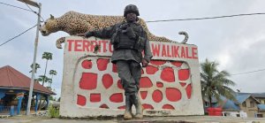 AFC/M23 ikomeje kwagura ibirindiro byayo muri Walikale