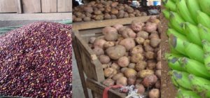 U Rwanda rwaje ku mwanya wa 8 ku isi mu bihugu ibiciro by'ibiribwa byazamutse bikabije [URUTONDE]