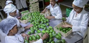 Ubucuruzi bw'u Rwanda bwageze kuri miliyoni 1.932 $