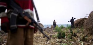 RDC:Inyeshyamba za Mai Mai zirashinjwa kwica abakozi bane ba Pariki