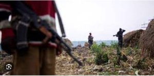 Kivu Nord: I Masisi haravugwa gukomereka kwa Kazungu na Mafiringi mu mirwano bahanganiyemo