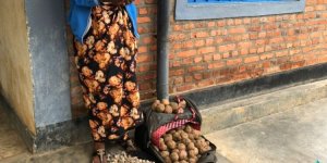 Rutsiro: Umugore yafatanwe udupfunyika tw'urumogi 3000 yari yavanze n'ibirayi ajijisha