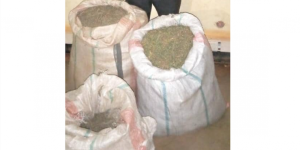 Kirehe:Umugabo yafatanywe imifuka itatu y'urumogi