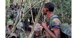 Ingabo z'u Burundi zahitanye inyeshyamba nyinshi z'umutwe wa FLN