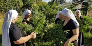 Ababikira bakomeje kwinjiza akayabo buri mwaka kubera guhinga urumogi