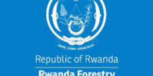 2 Job positions of Seed processing and storage Officer Under Statute at RWANDA FORESTRY AUTHORITY: Deadline: Aug 28, 2023