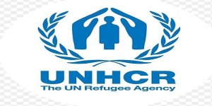 Driver at UNHCR – United Nations High Commissioner for Refugees: Deadline: 17 January 2024