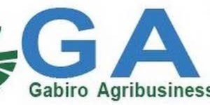 Senior Accountant at Gabiro Agribusiness Hub (GAH) Ltd | Kigali: Deadline: 15-01-2024