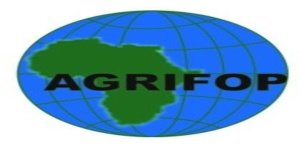 Project Coordinator at Agribusiness Focused Partnership Organization – AGRIFOP | Kigali: Deadline: 23-01-2024