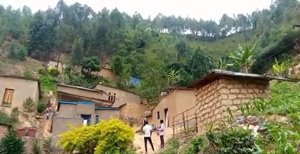 Nyarugenge: Umugabo yasanzwe mu giti cy'umwembe yapfuye