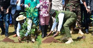 Kenya: Leta yatanze ikiruhuko mu gihugu hose kugira ngo abantu batere ibiti