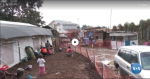 Kongo:Batangiye Gukoresha Imiti Gakondo Bivura Ubushita bw'Inkende.mp4