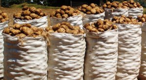 Minisiteri y'ubucuruzi n'inganda yatangaje ibiciro bishya ku birayi, kawunga n'umuceli