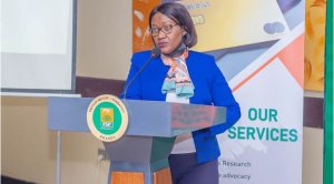 Abikorera bapfusha ubusa amasezerano u Rwanda rugirana n'ibindi bihugu (MINAFFET)