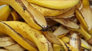 Menya akamaro gatangaje k'igishishwa cy'umuneke ku ruhu rwa muntu