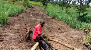 Abatuye muri tumwe mu turere tw'uburengerazuba iherutse mo Imyuzure barataka inzara