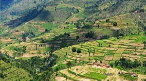 Guverinoma yagabanyije cyane imisoro itandukanye irimo iy'ubutaka n'ipatanti