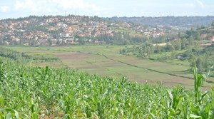 Umusoro ku butaka wagabanutseho hafi gatatu mu mijyi yo mu Rwanda