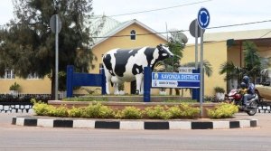 Kayonza: Umugabo yishe umushumba we amuziza kwiriza inka ubusa