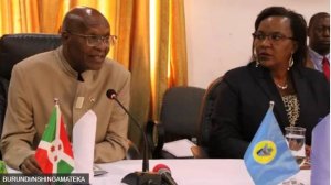 Bwambere mu myaka 60 ishize, Ububirigi bugiye gukora Iperereza ku bukoroni bakoreye Uburundi