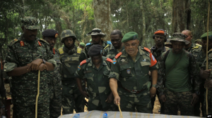 RDC:Imitwe yitwaje intwaro yiyemeje gufasha FARDC guhangamura M23