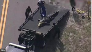 Umurambo w'umugore wakuwe mu rwasaya rw'ingona muri Amerika