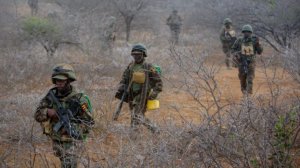 Abasirikare batandukanye bakomeje gutakariza ubuzima bwabo mu butumwa bw'amahoro harimo nab' u Rwanda