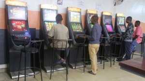 Ibiryabarezi birenga 8 000 bimaze kuvanwa mu baturage – RDB