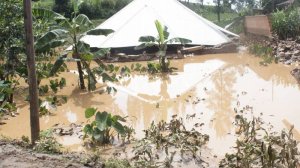 Inzu zisenywa n'ibiza mu Rwanda zagabanyutseho 78% mu myaka ine